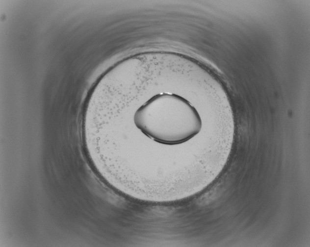 X0000063451514200601271526