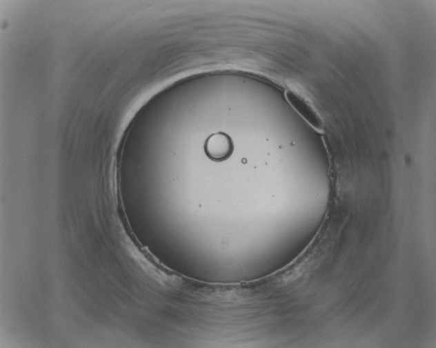 X0000063451516200601271526