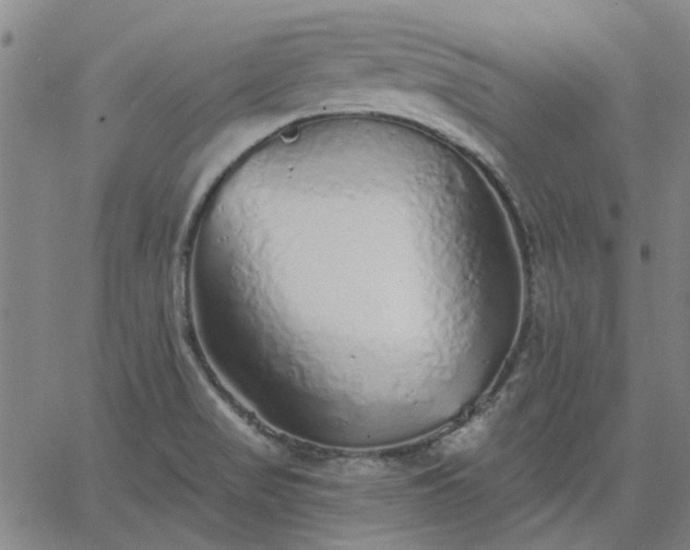 X0000063451517200601271526