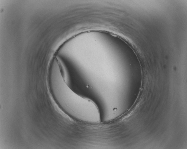 X0000063451518200601271526