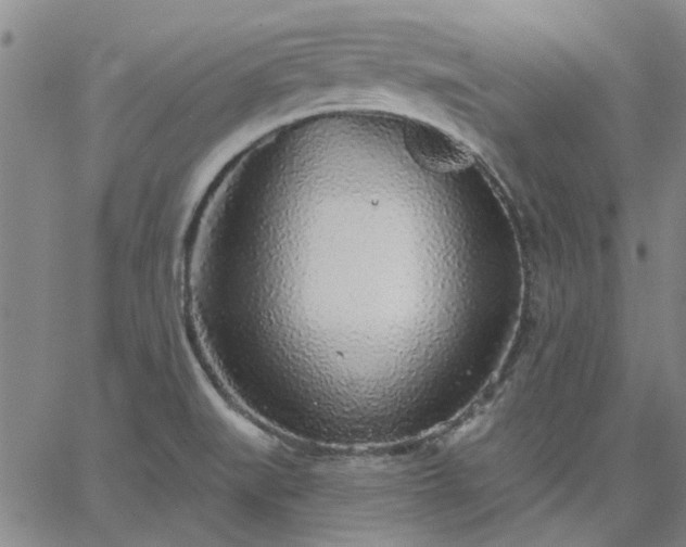 X0000063451519200601271526