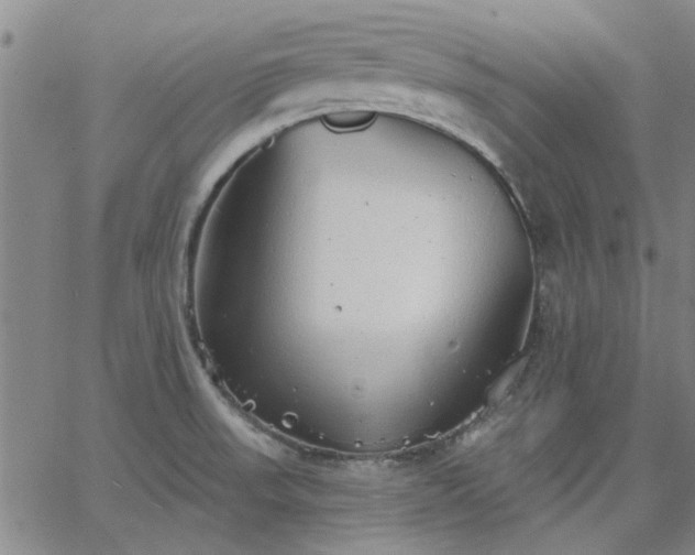 X0000063451523200601271526