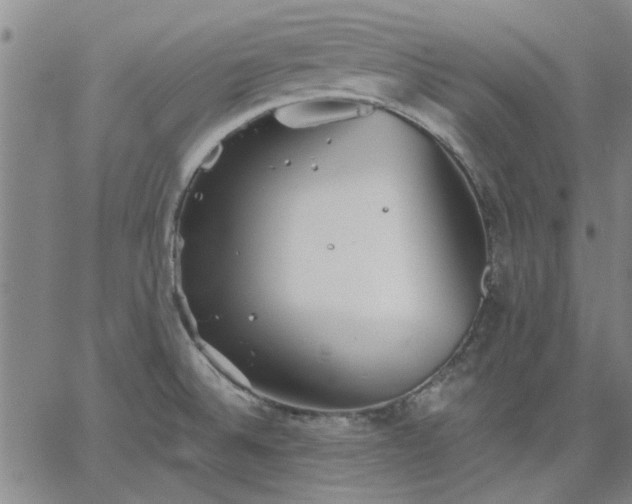 X0000063451524200601271526