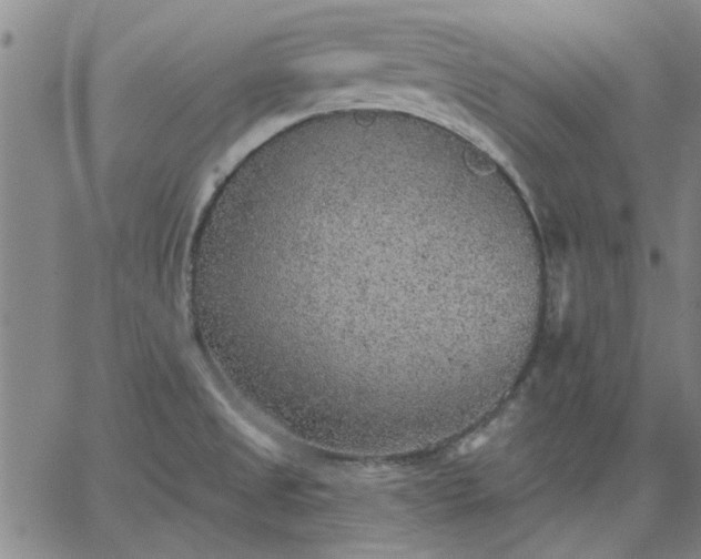 X0000063451525200601271526