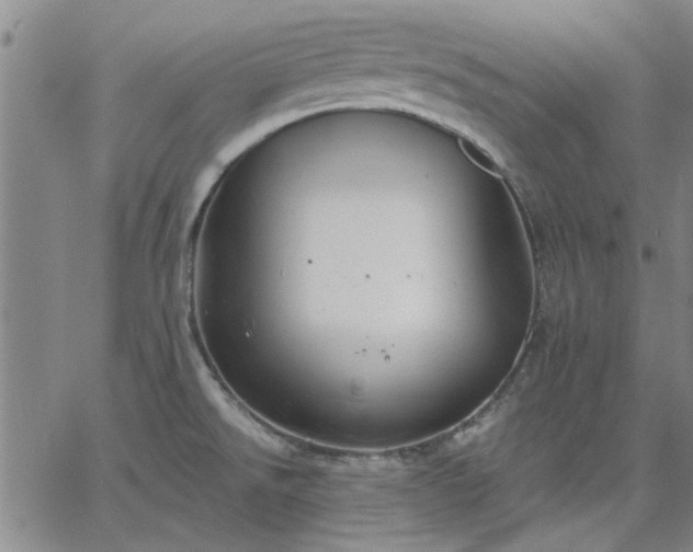 X0000063451526200601271526