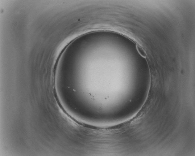 X0000063451527200601271526