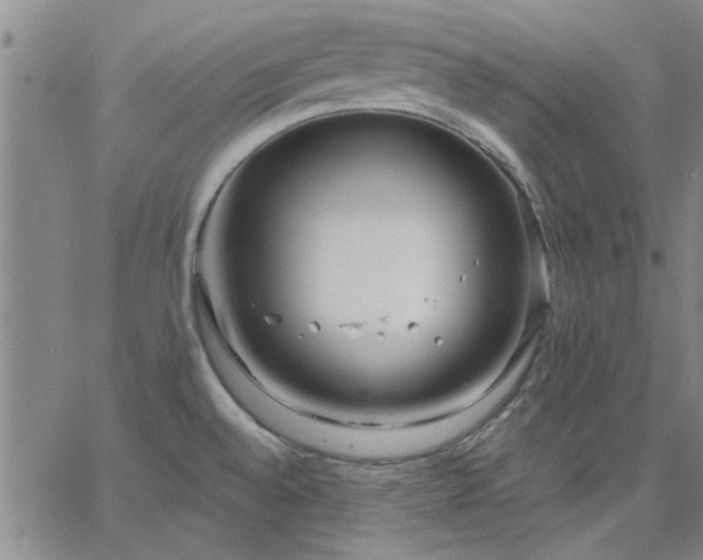 X0000063451528200601271526