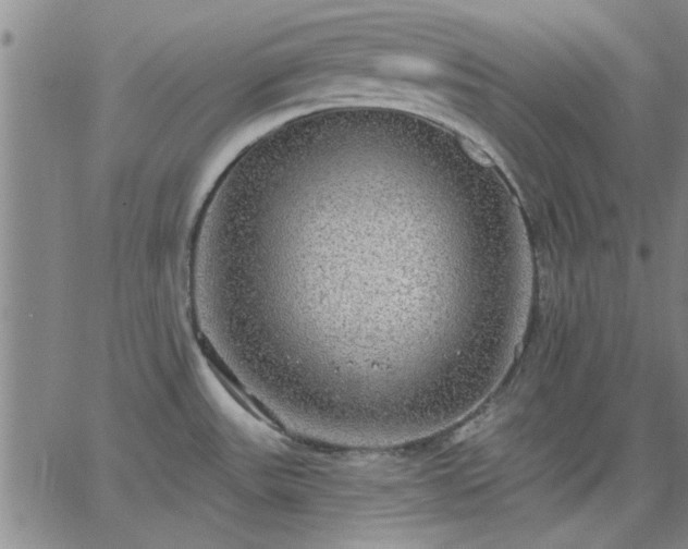 X0000063451531200601271526