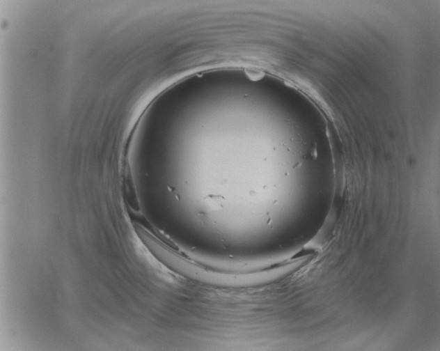 X0000063451532200601271526