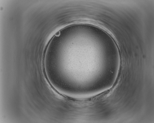 X0000063451533200601271526