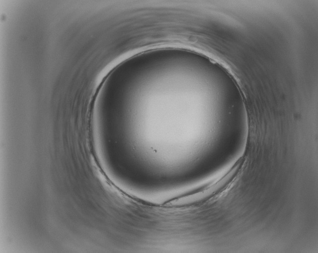 X0000063451534200601271526