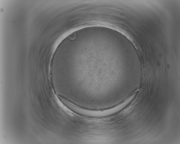 X0000063451535200601271526