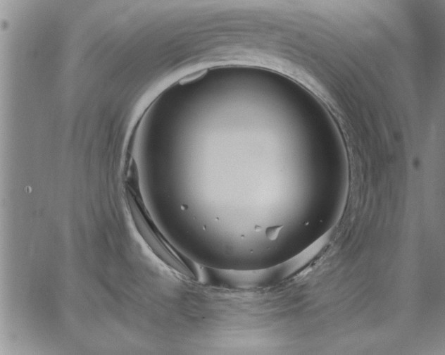 X0000063451536200601271526