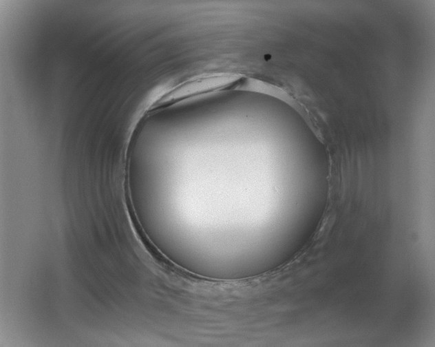 X0000063450003200602031820