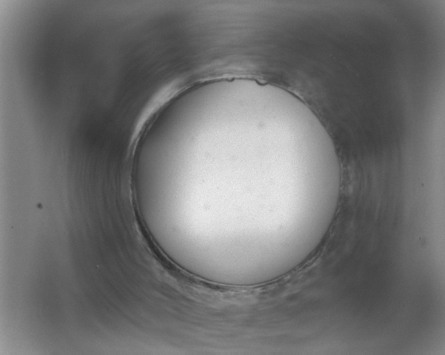 X0000063450004200602031820