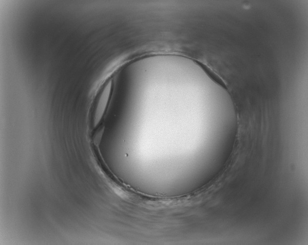 X0000063450005200602031820