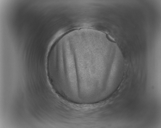 X0000063450006200602031820