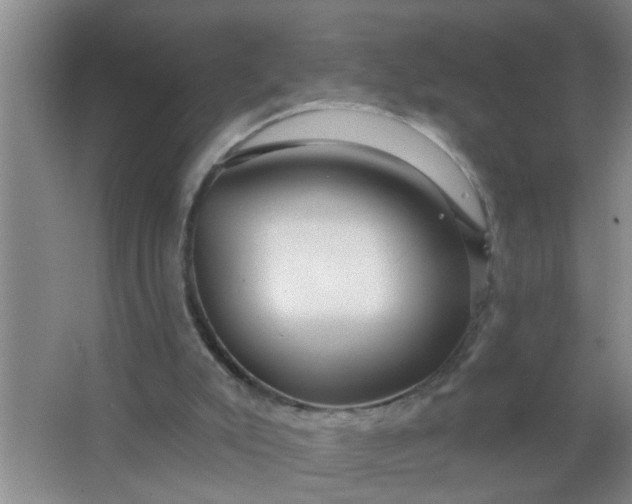 X0000063450007200602031820