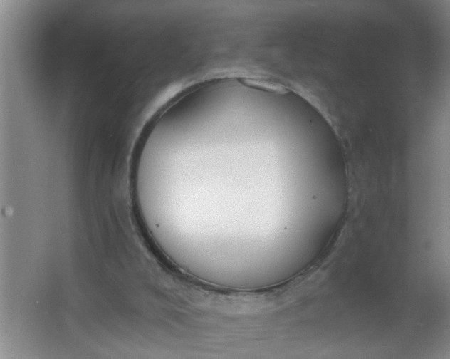 X0000063450008200602031820