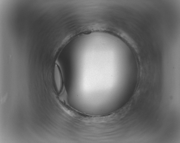 X0000063450009200602031820