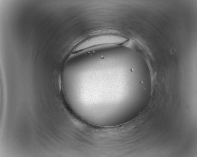 X0000063450013200602031820