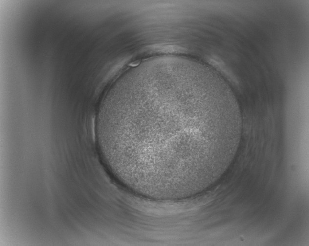 X0000063450014200602031820