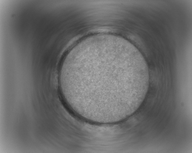 X0000063450016200602031820