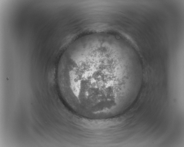 X0000063450018200602031819