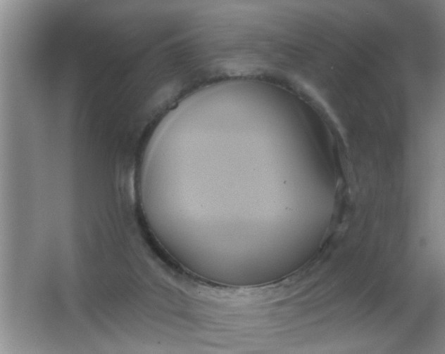 X0000063450019200602031819