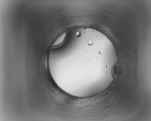 X0000063450021200602031819