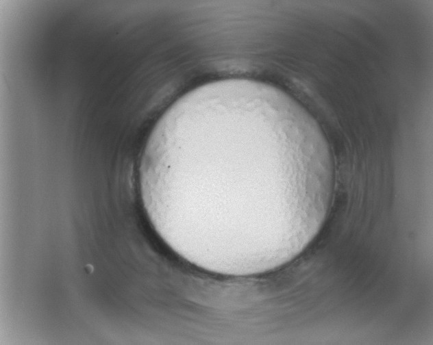 X0000063450024200602031819