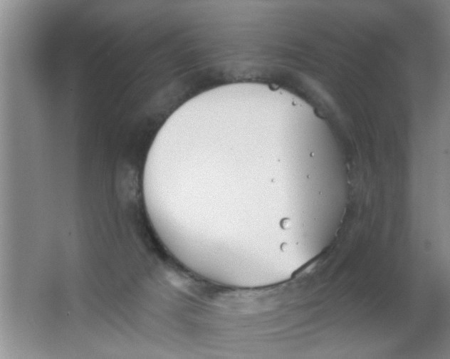 X0000063450025200602031819