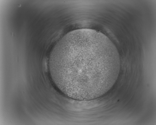 X0000063450026200602031819