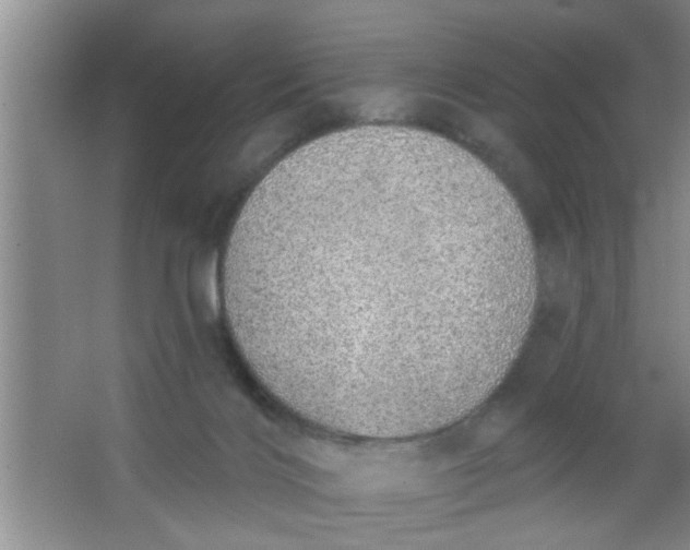 X0000063450028200602031819