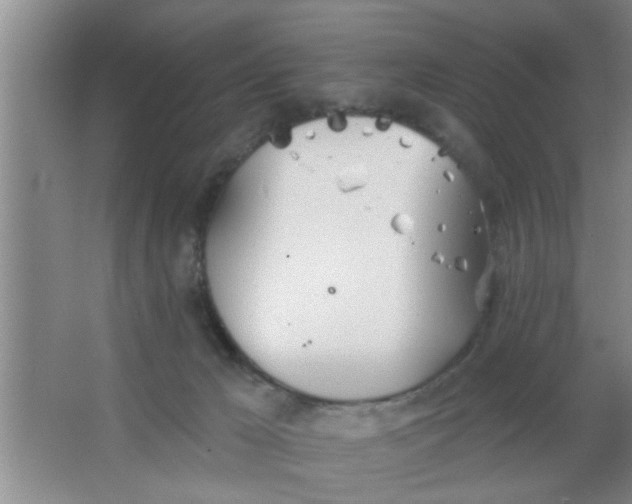 X0000063450029200602031819