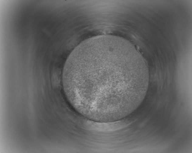 X0000063450030200602031819