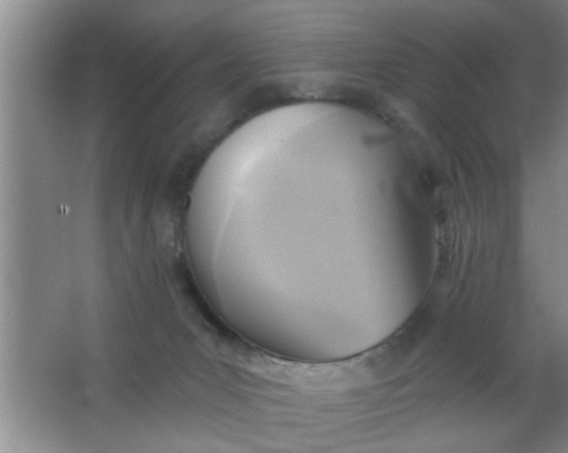 X0000063450031200602031819