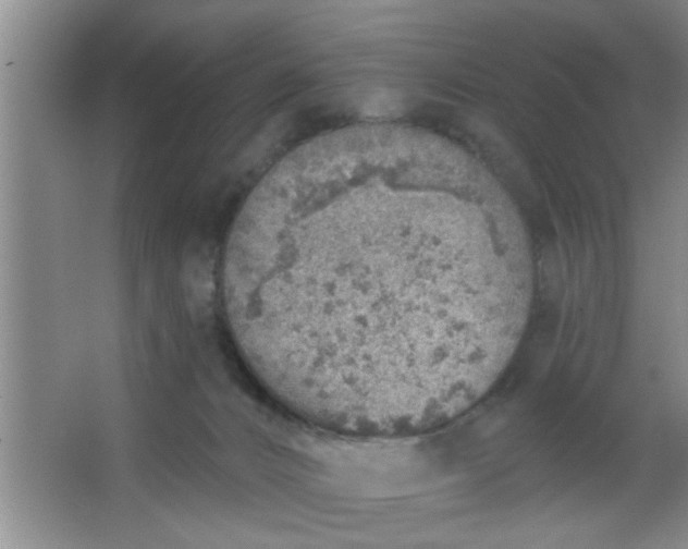 X0000063450032200602031819