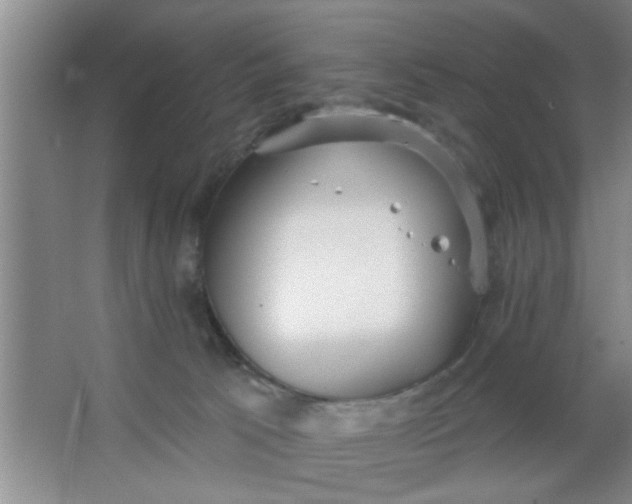 X0000063450033200602031819