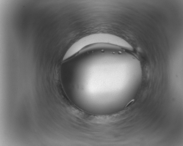 X0000063450037200602031819