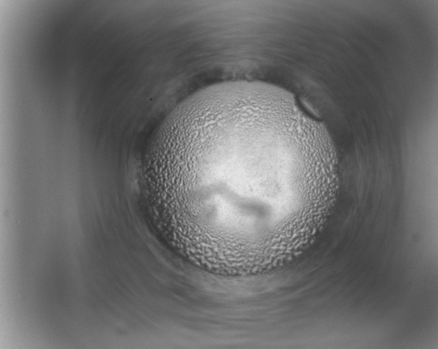 X0000063450038200602031819