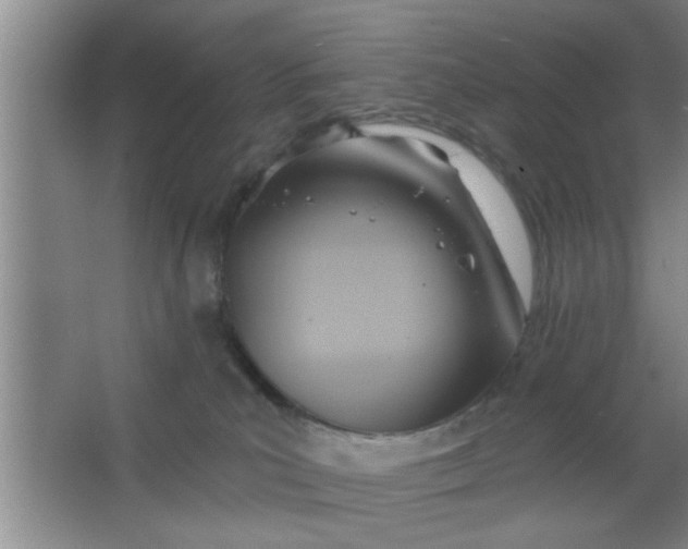 X0000063450039200602031819