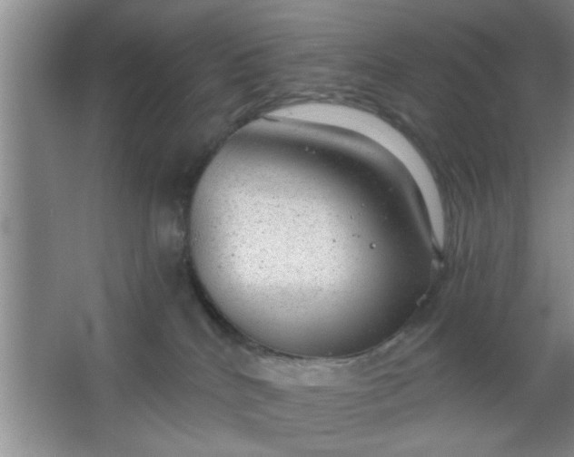 X0000063450040200602031819