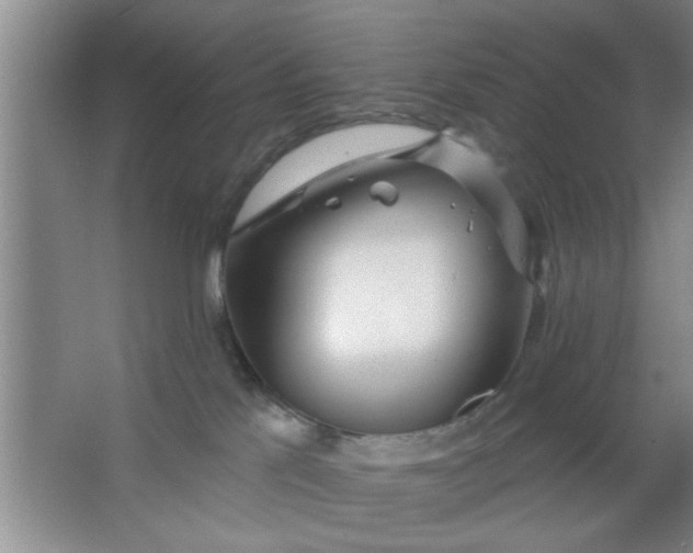 X0000063450041200602031819