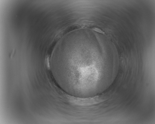 X0000063450042200602031819