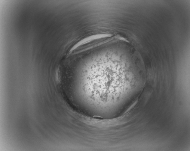 X0000063450043200602031819