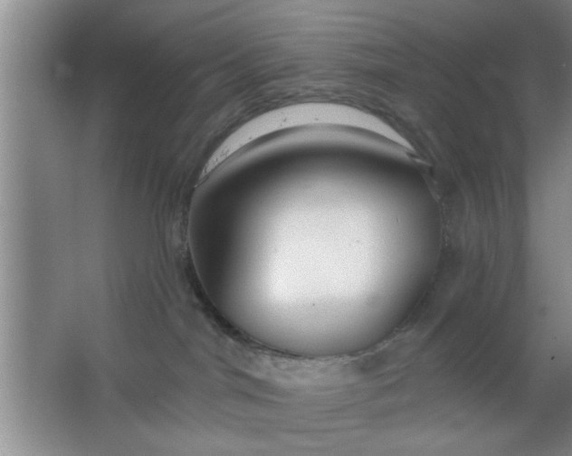 X0000063450044200602031819