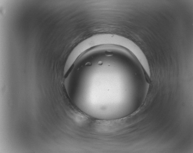 X0000063450045200602031819