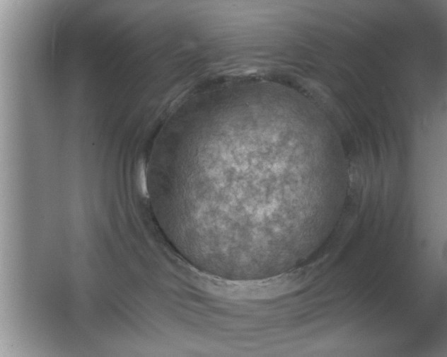 X0000063450046200602031819