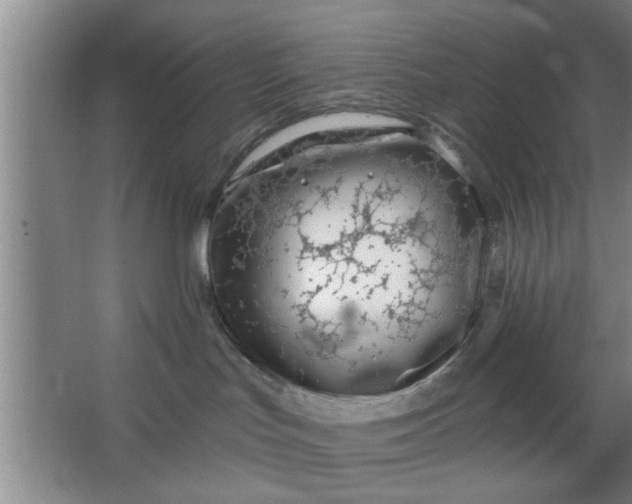 X0000063450047200602031819